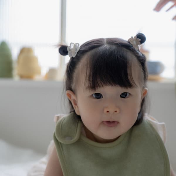 Absorbent Terry Bib in Olive